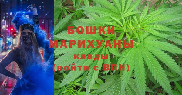 не бодяженный Бородино