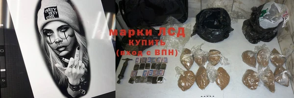 СК Осинники