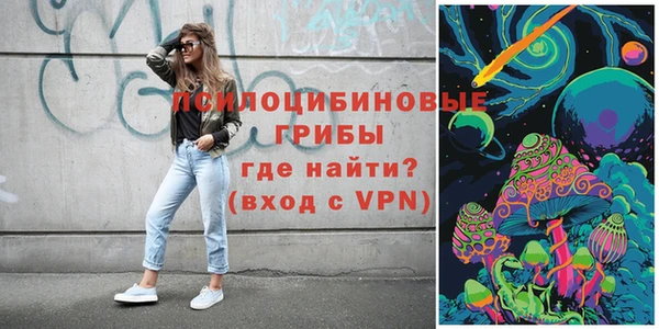 не бодяженный Бородино