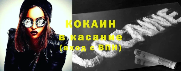 не бодяженный Бородино