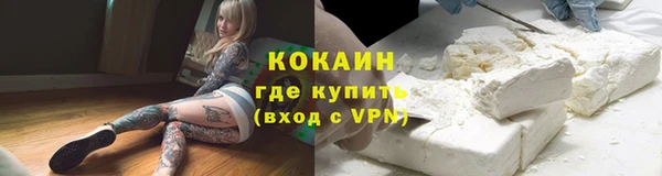не бодяженный Бородино