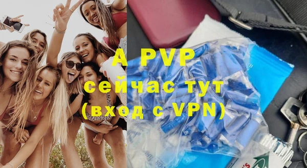 не бодяженный Бородино