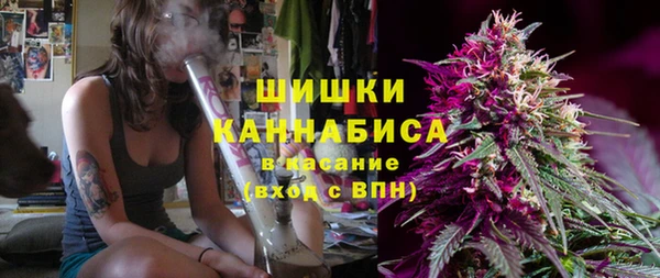 не бодяженный Бородино