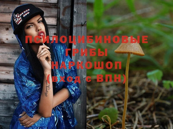 МДПВ Верхний Тагил