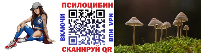 Псилоцибиновые грибы Psilocybe  Купить где  Лиски 