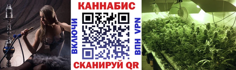 Купить закладки  Лиски  Бошки Шишки Amnesia 